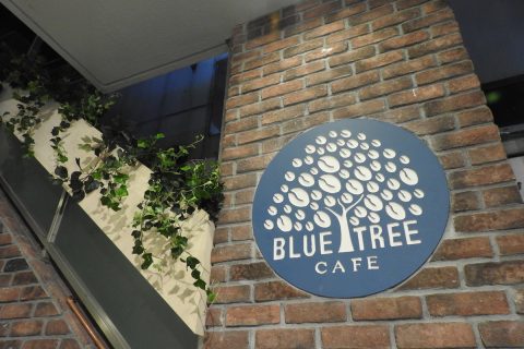 渋谷でハワイ発のオーガニック＆ヴィーガン食べられる「Bluetree tokyo」